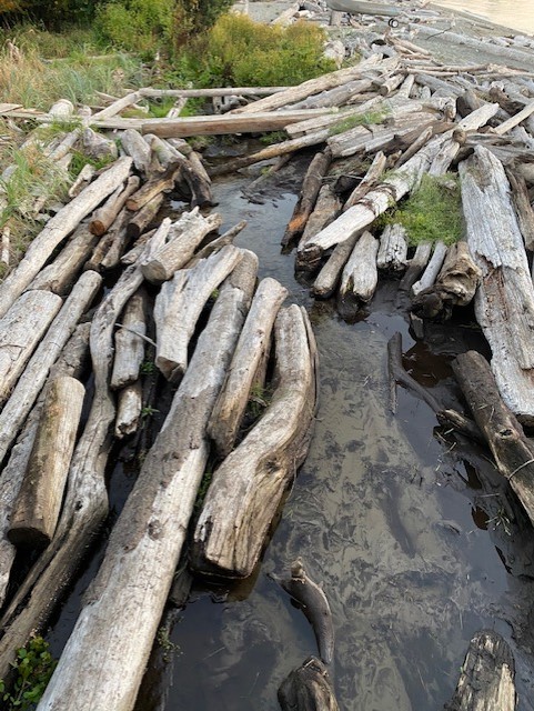 Before and after photos of Fauntleroy Creek log clearing.